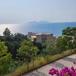 Deda's Summer Avlonya