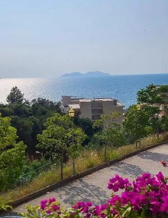 Deda's Summer Vlorë