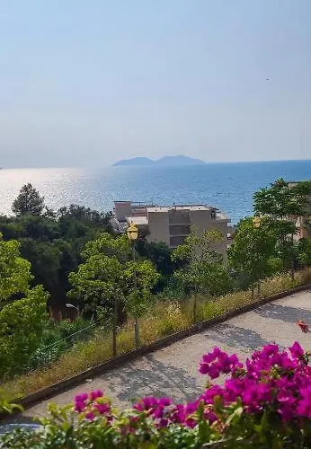 Deda's Summer Vlorë